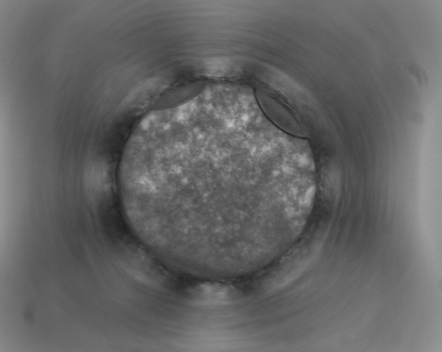 X0000114210272200911061452