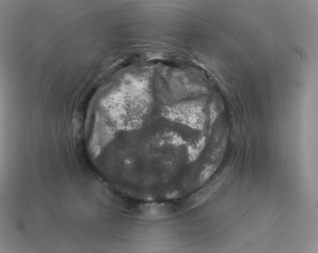 X0000114210273200911061452