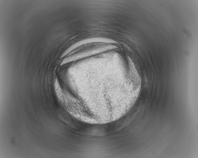 X0000114210275200911061452