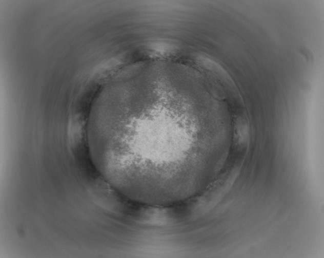 X0000114210276200911061452