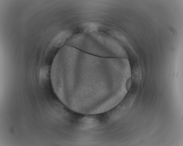 X0000114210280200911061452