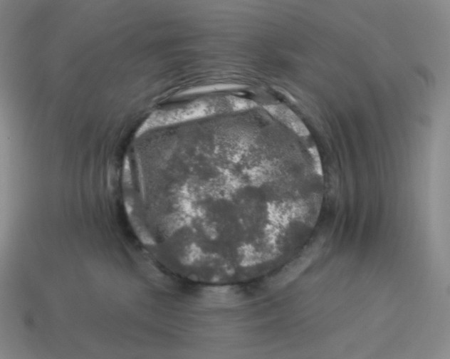 X0000114210281200911061452