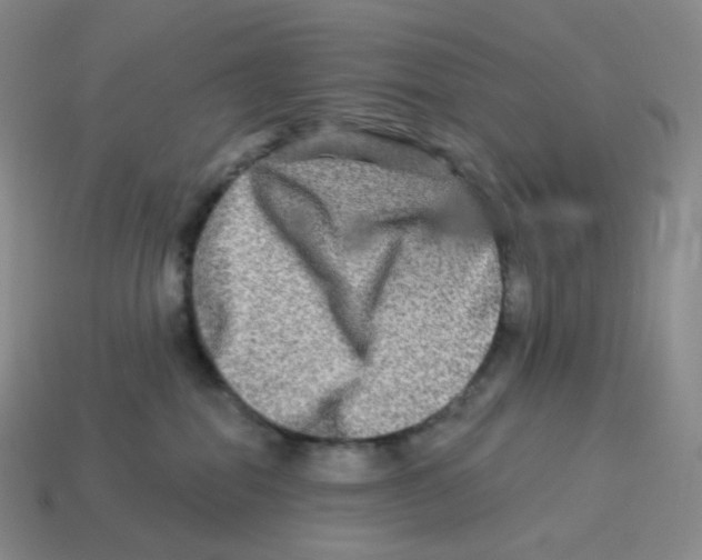 X0000114210282200911061452