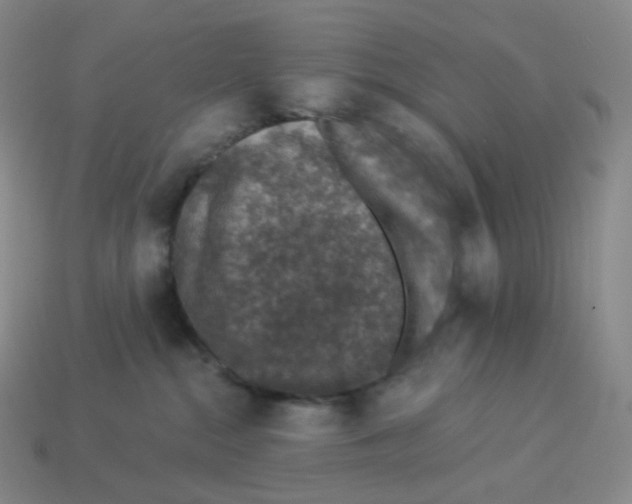 X0000114210284200911061452