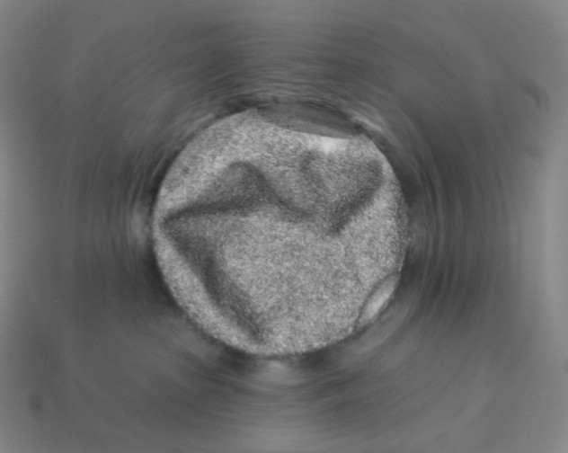 X0000114210285200911061452