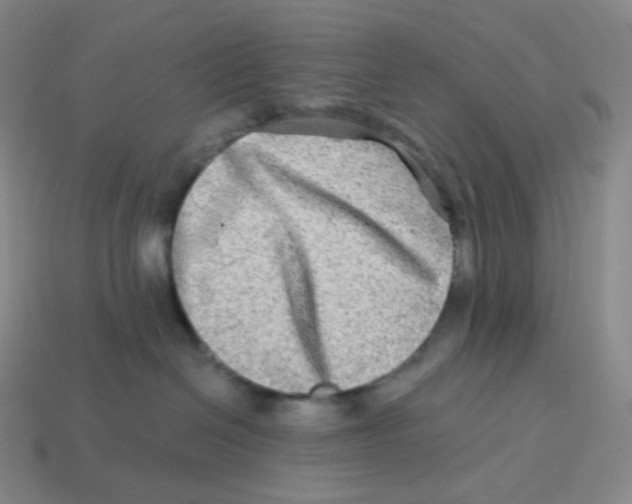 X0000114210286200911061452