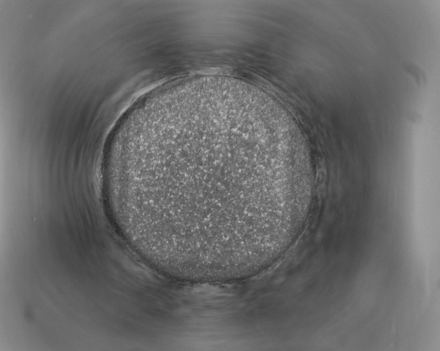 X0000114210290200911061451