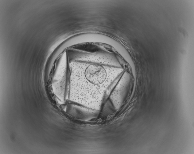 X0000114210292200911061451