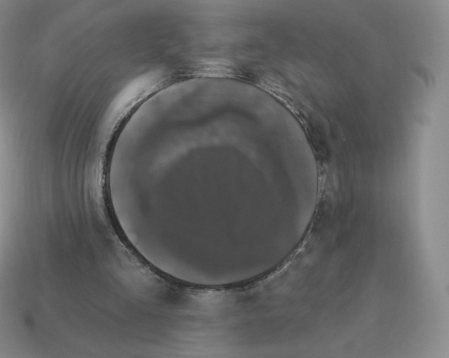 X0000114210293200911061451