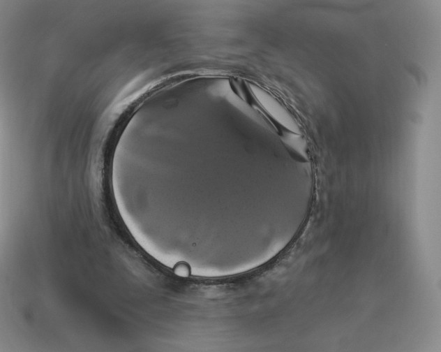 X0000114210295200911061451