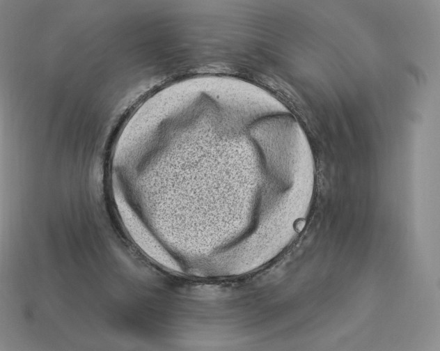 X0000114210298200911061451