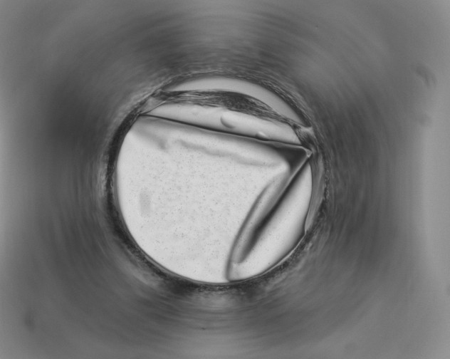 X0000114210299200911061451