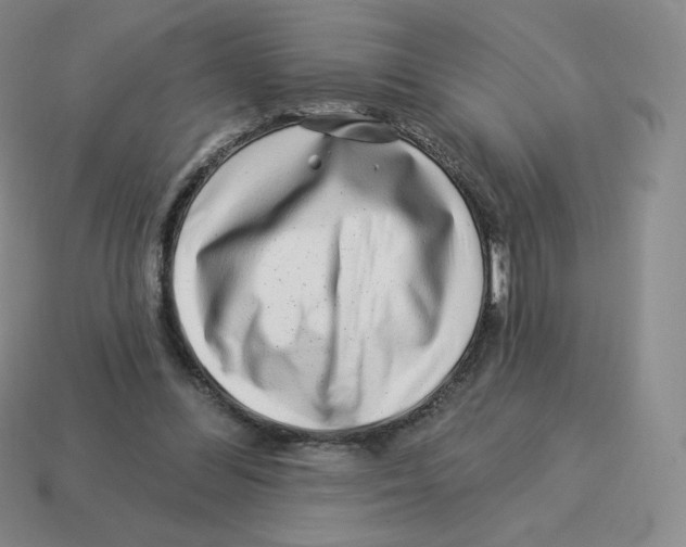 X0000114210300200911061451