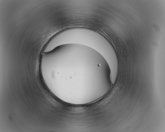 X0000114210301200911061451
