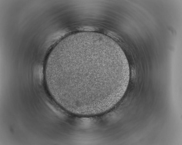 X0000114210302200911061451