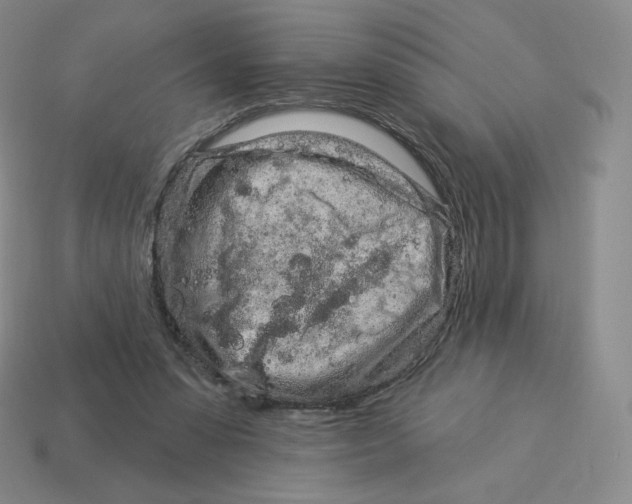 X0000114210303200911061451