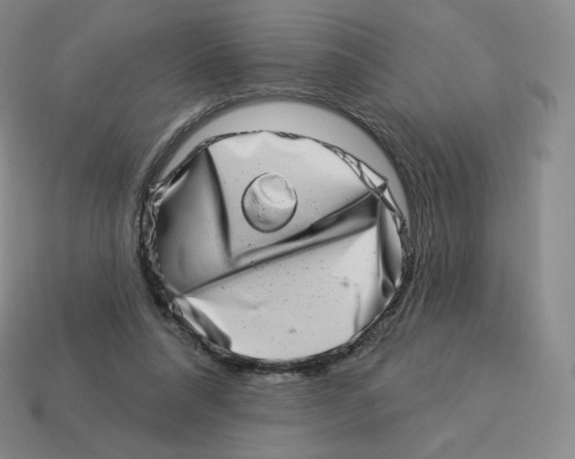 X0000114210304200911061451