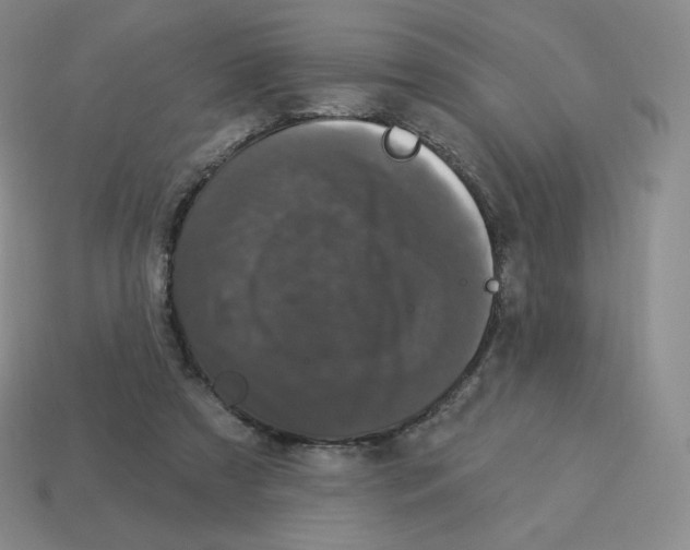 X0000114210305200911061451