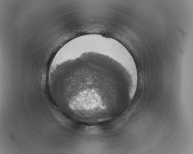 X0000114210309200911061451