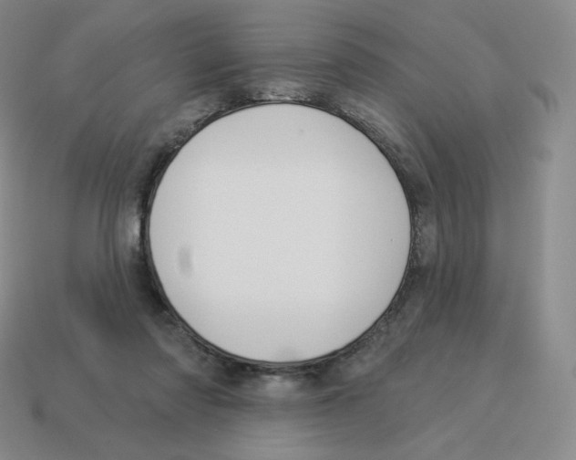 X0000114210310200911061451