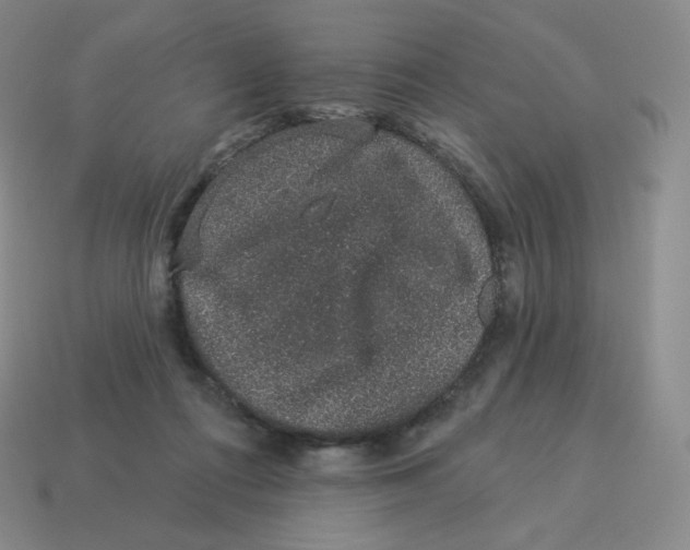 X0000114210312200911061451