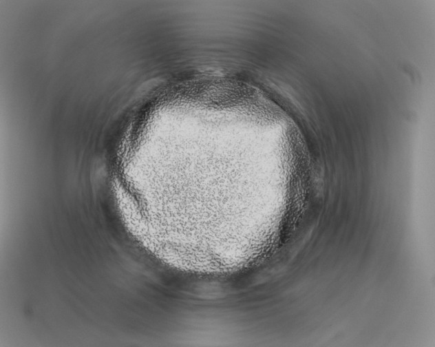 X0000114210314200911061451