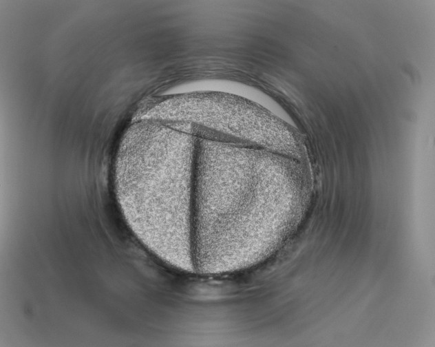 X0000114210315200911061451