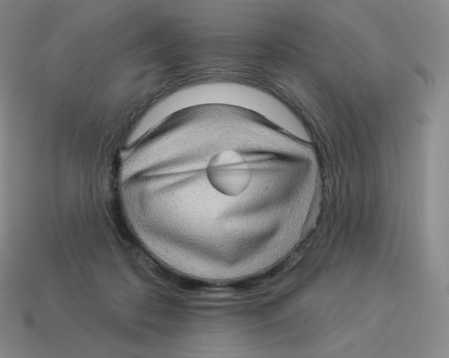 X0000114210316200911061451