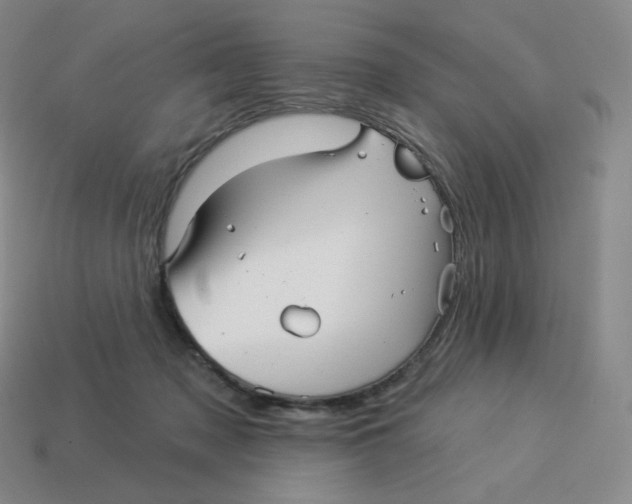 X0000114210317200911061451