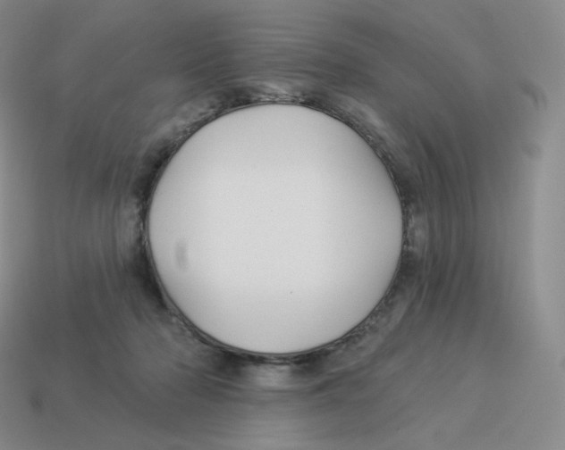 X0000114210318200911061451