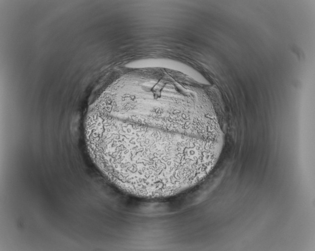 X0000114210319200911061451