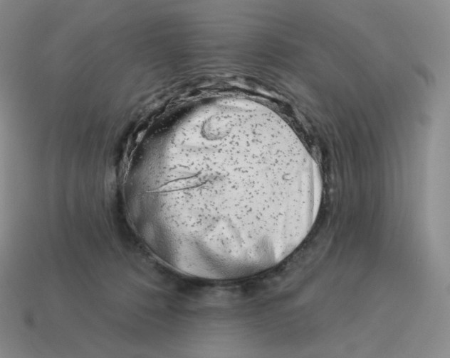 X0000114210320200911061451
