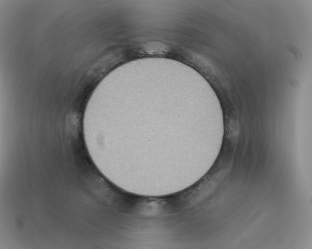 X0000114210321200911061451