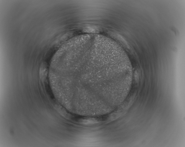 X0000114210322200911061451