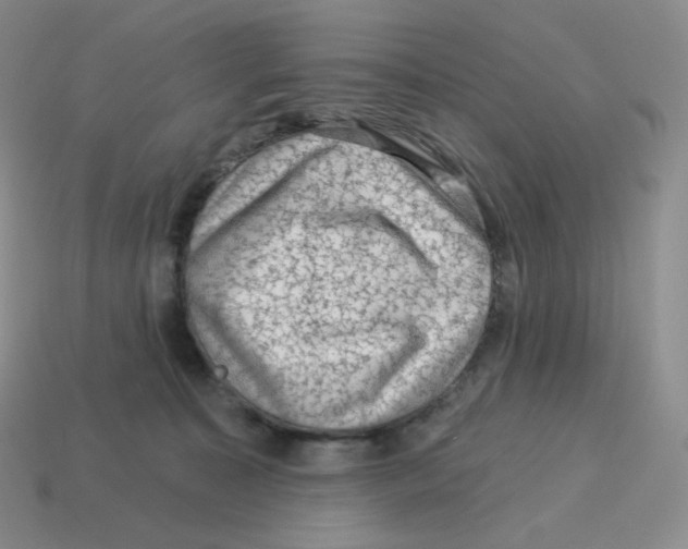 X0000114210323200911061451