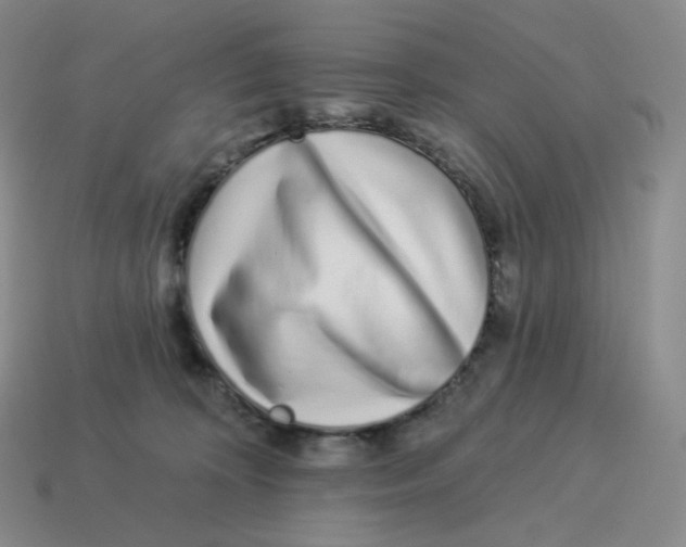X0000114210324200911061451