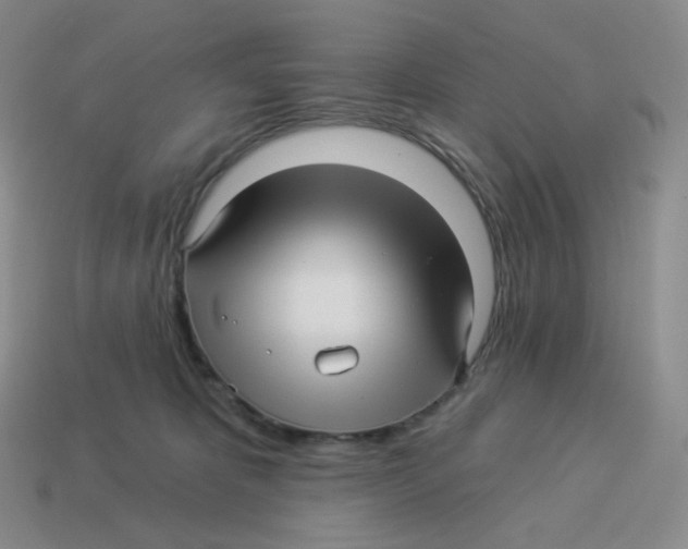 X0000114210325200911061451