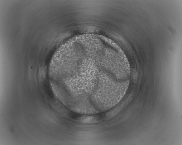 X0000114210326200911061451