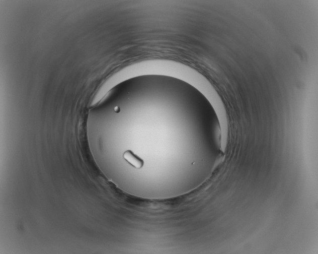 X0000114210327200911061451
