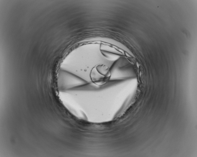 X0000114210328200911061451