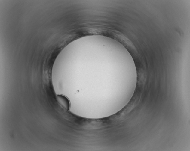 X0000114210329200911061451