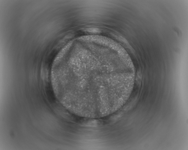 X0000114210330200911061451