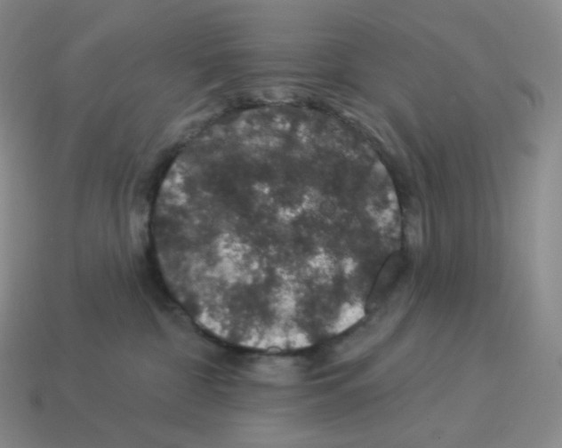 X0000114210332200911061451