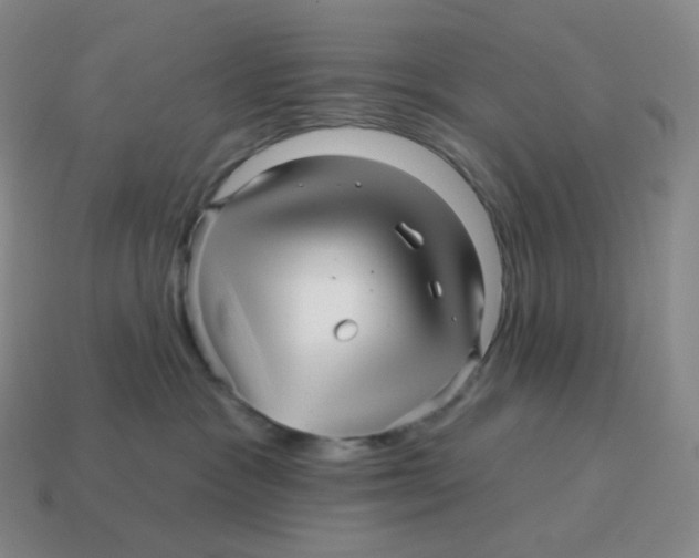 X0000114210333200911061451