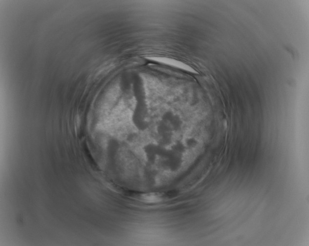 X0000114210335200911061451