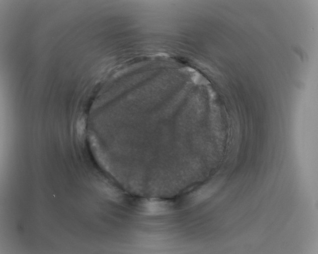 X0000114210336200911061451
