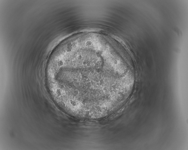 X0000114210337200911061450