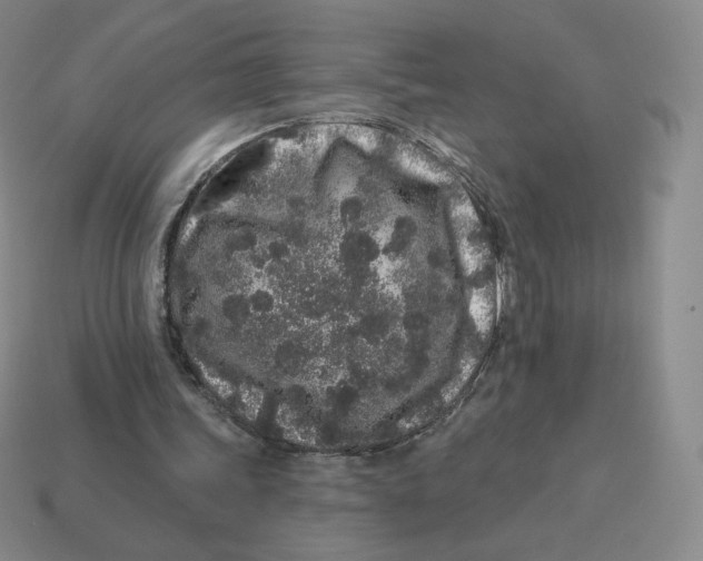 X0000114210339200911061450