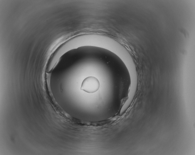 X0000114210340200911061450