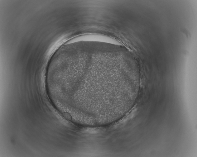 X0000114210341200911061450